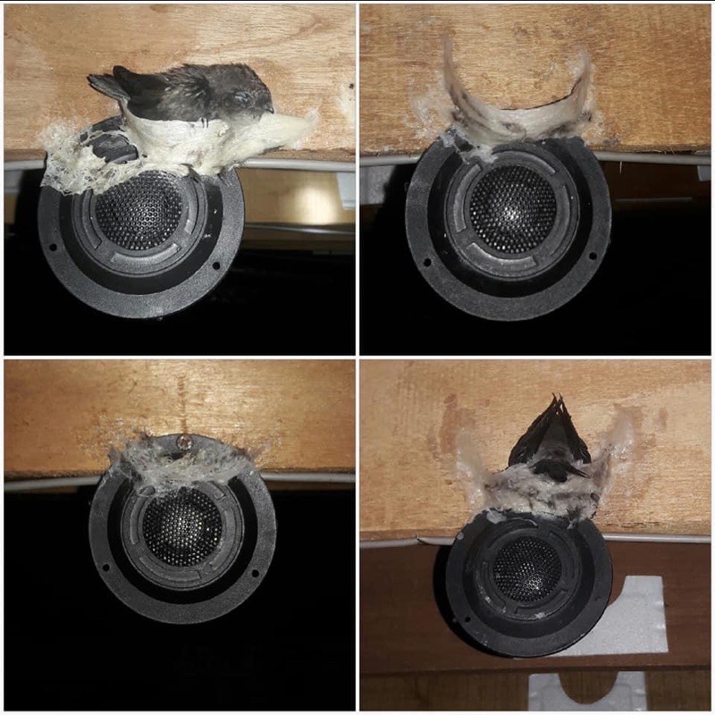 Tweeter Walet Bulat Murah /bukan audax / bukan tweeter audax / audio walet / speaker walet / audax a