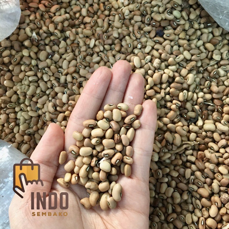 Kacang Tolo 1 kg / Kacang Tunggak 1kg