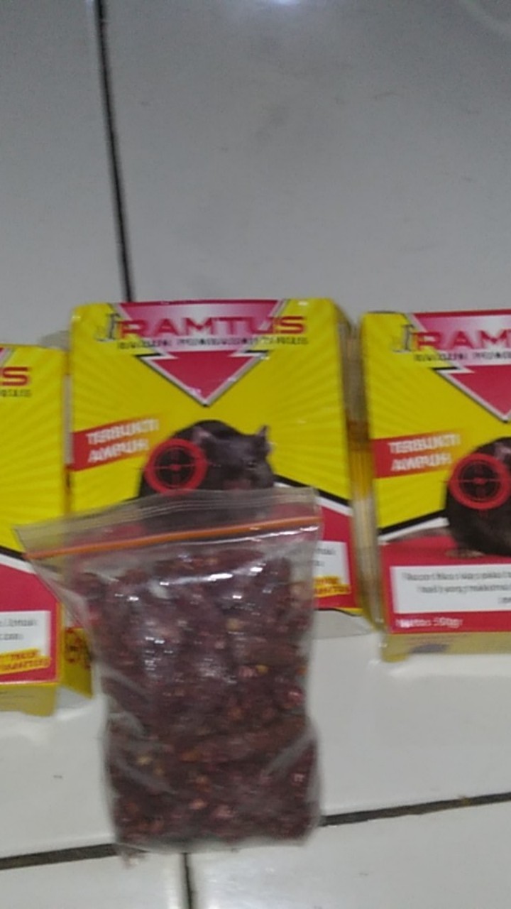 Ramtus Racun Tikus Ampuh Mati Kering Tidak Bau Pembasmi Curut Wirog Mencit Dirumah Di Mobil 4 Pack