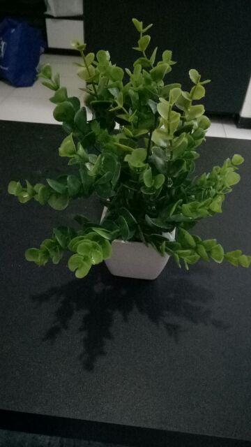 Set Bunga Plastik Ekaliptus Denga Vas Melamin