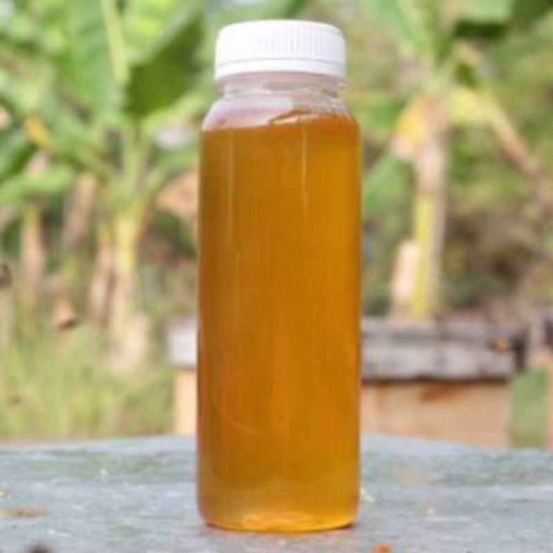 [Best] MADU MURNI NEKTAR BUNGA TANPA PROSES | Raw Honey 1000 gr/1 kg