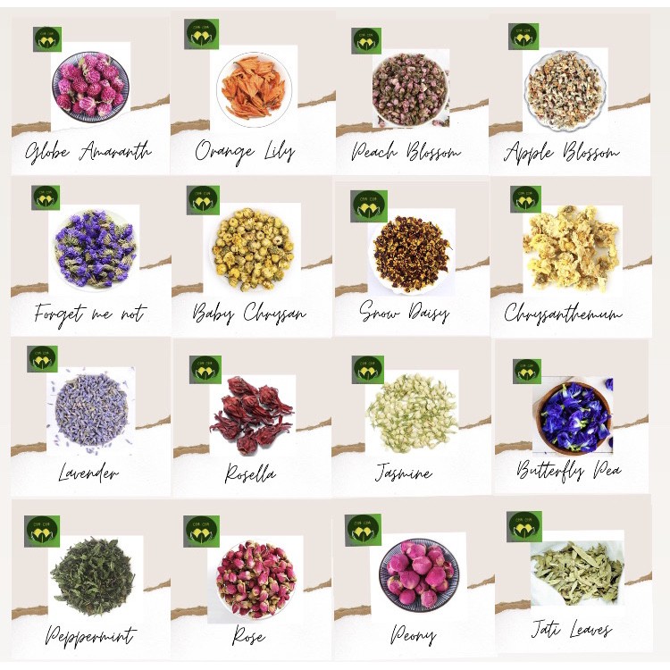 

Flower tea/ Teh bunga crysanthemum / teh kembang / teh bunga rose / jasmine/ lavender / peony