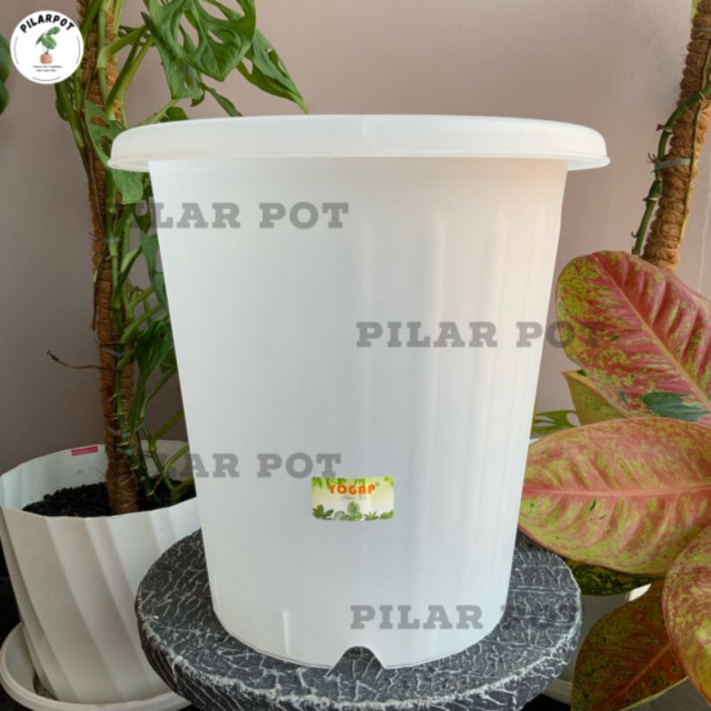 pot bunga tanaman tinggi yogap YPT 30 bening transparan - bahan tebal