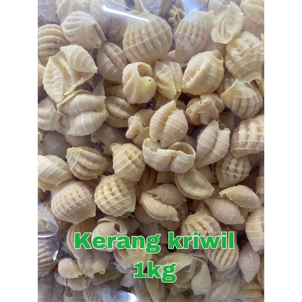 MAKARONI KERANG KRIWIL 1KG