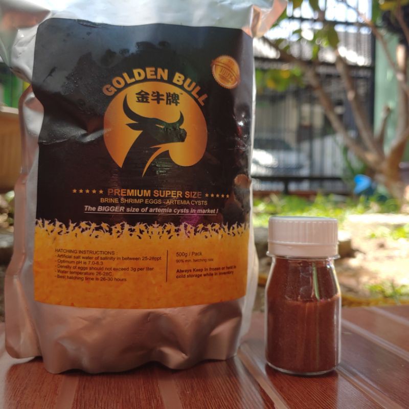 artemia golden bull