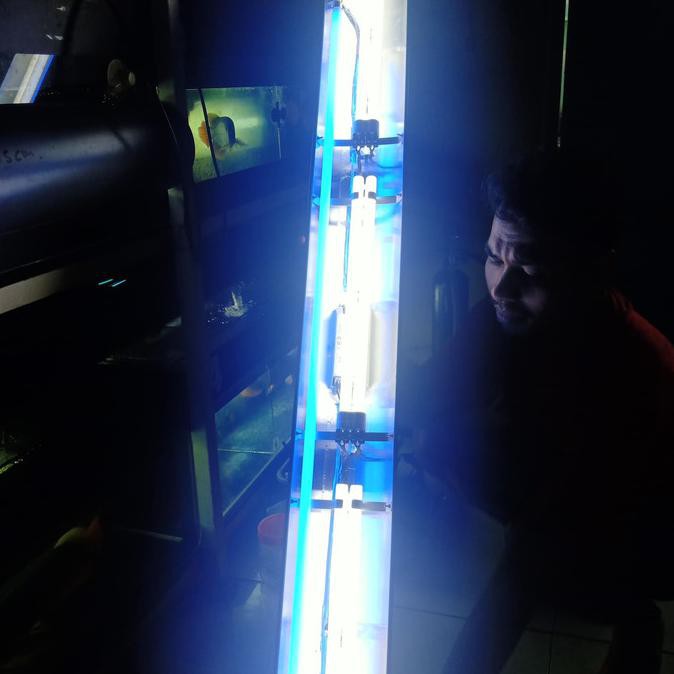 NEW STOCK LAMPU TANNING 150 CM, PLL MIX AQUAZONIC