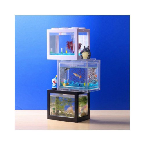 Akuarium Ikan Cupang Akrilik Aquarium Mini Akuarium Cupang Mini