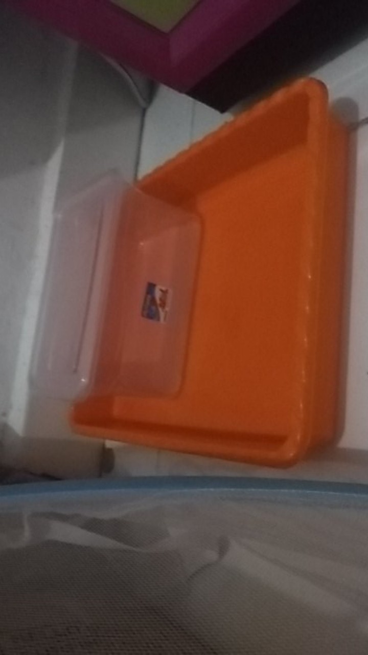 Nampan Plastik No.4 (35 X 27) Warna Cerah