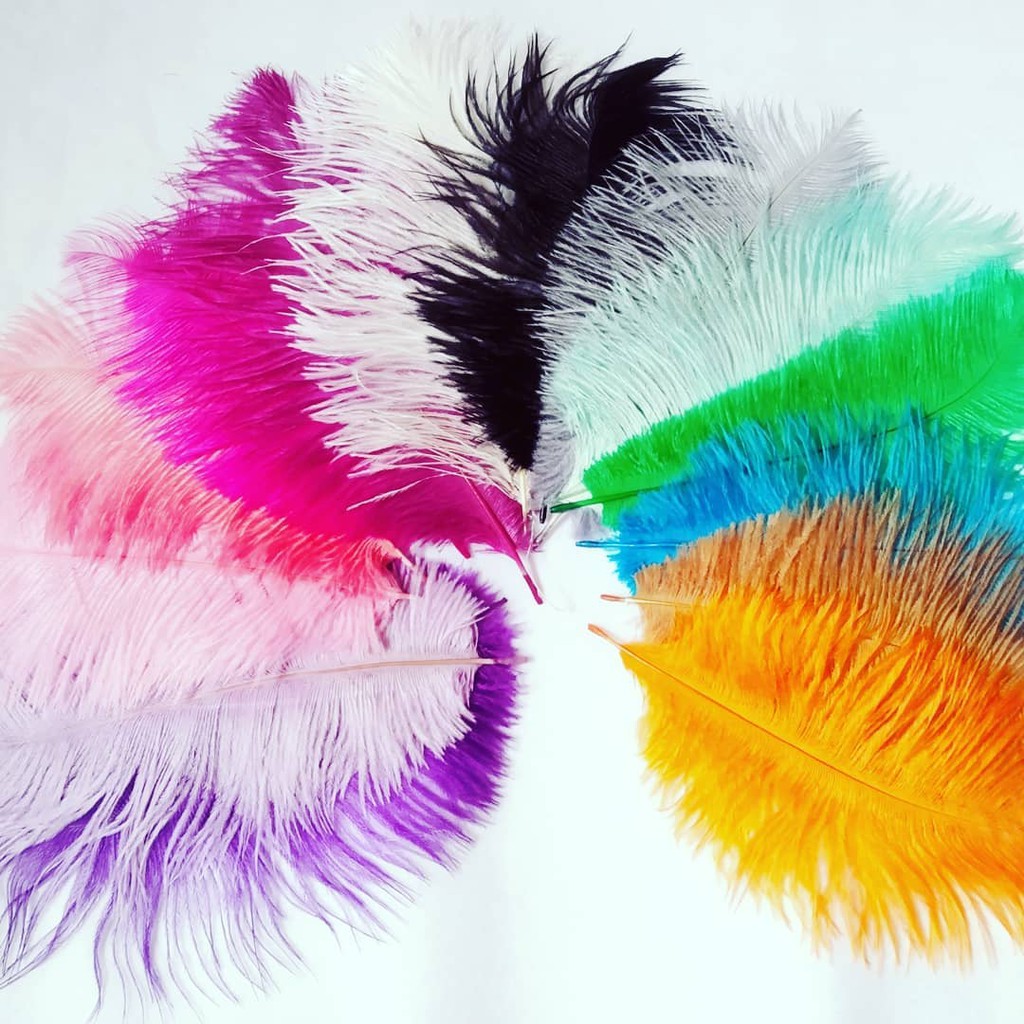 bulu kemucing / bulu ostrich (perhelai)