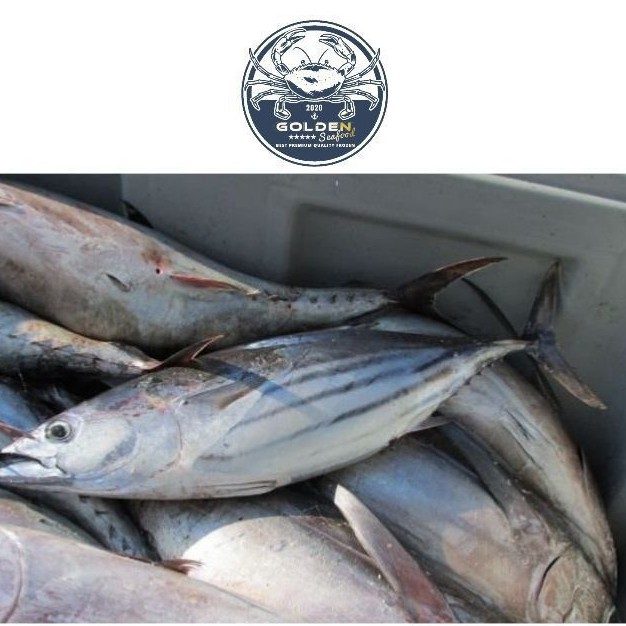 

ikan cakalang 1 kg beku kapal