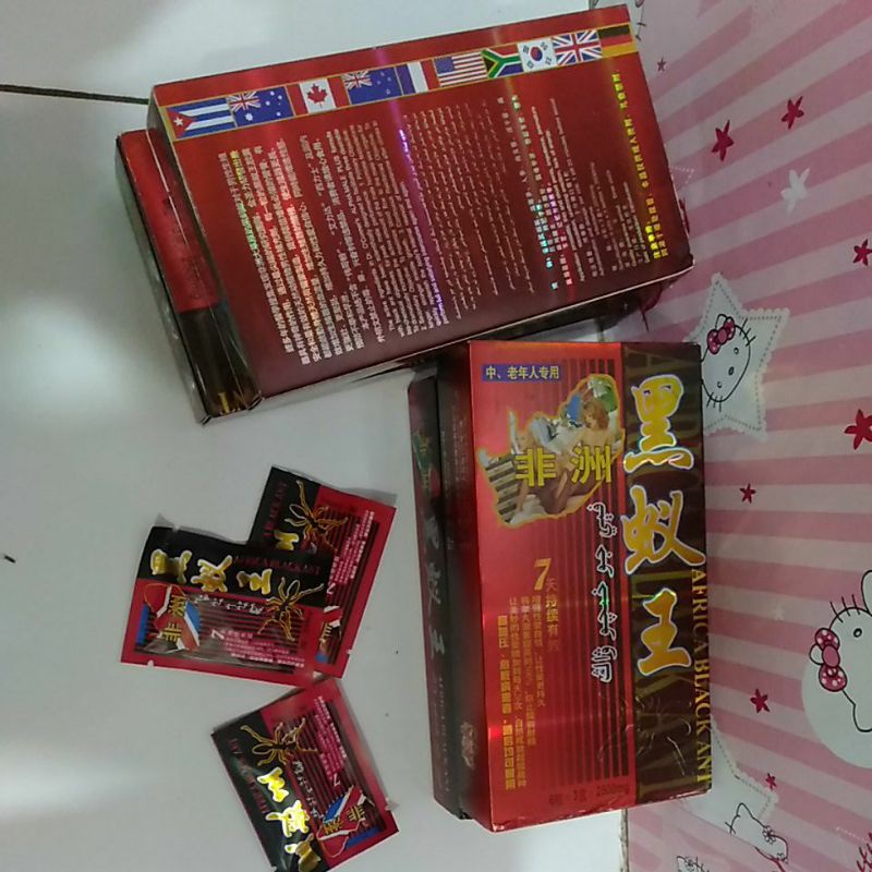 africa black ant semut hitam afrika original 100%