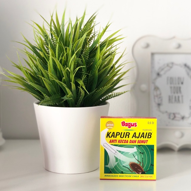 Bagus Kapur Ajaib Anti Kecoa dan Semut isi 6 &amp; 12