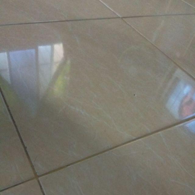 Ss88 B41 Alat Peras Jeruk - Alat Perasan Jeruk -  Manual Juicer - Stainless Steel - Pemeras Jeruk