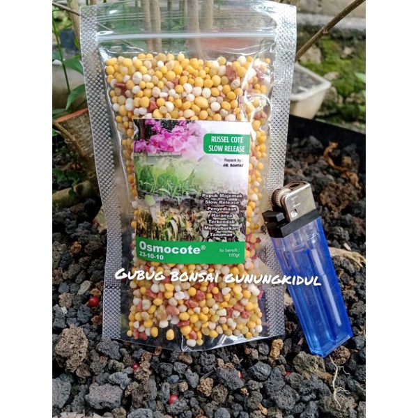 Shopritz Pupuk Merah Premium Slow Release,Osmocote Dekastar 19 10 13 Pupuk Npk Tanaman Hias