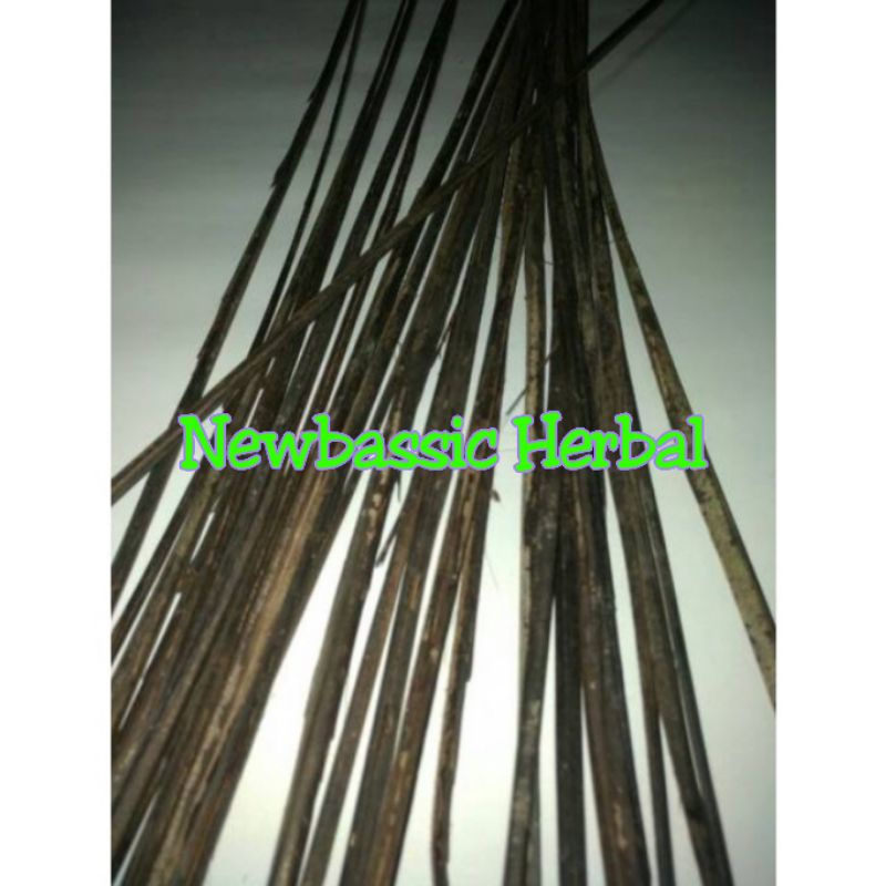 lidi pohon aren kering 100 pcs