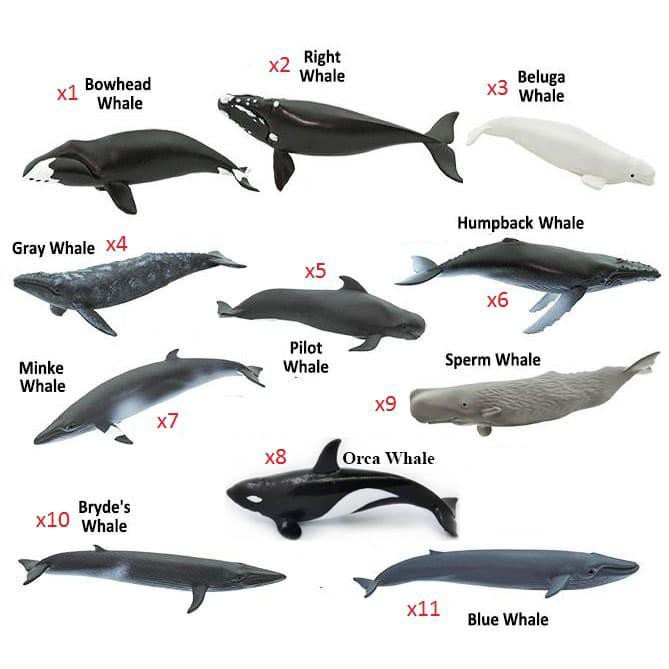 Toys | Miniatur Ikan Paus Biru Beluga Sperma Humpback Orca Whale Shark Hiu
