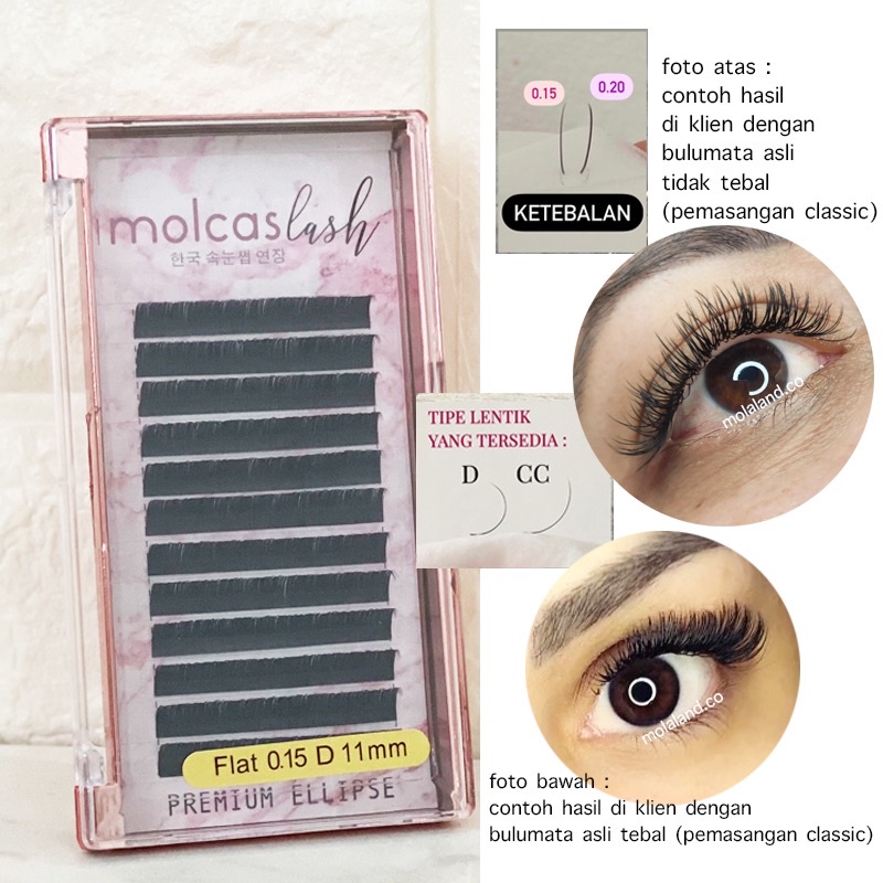 SUPER HALUS! MOLCAS LASH PREMIUM ELLIPSE BULUMATA EYELASH EXTENSION KOREA molalash