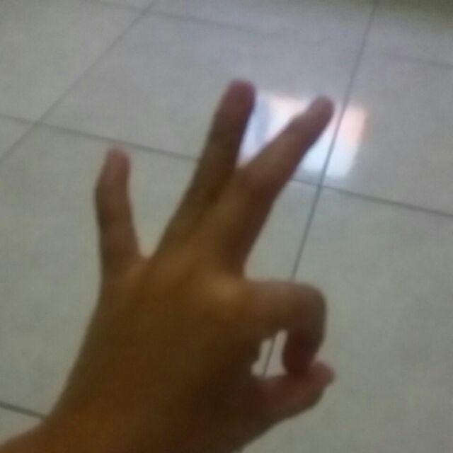 Handle Pintu Baut Tembus Stainless 43cm Anti Karat