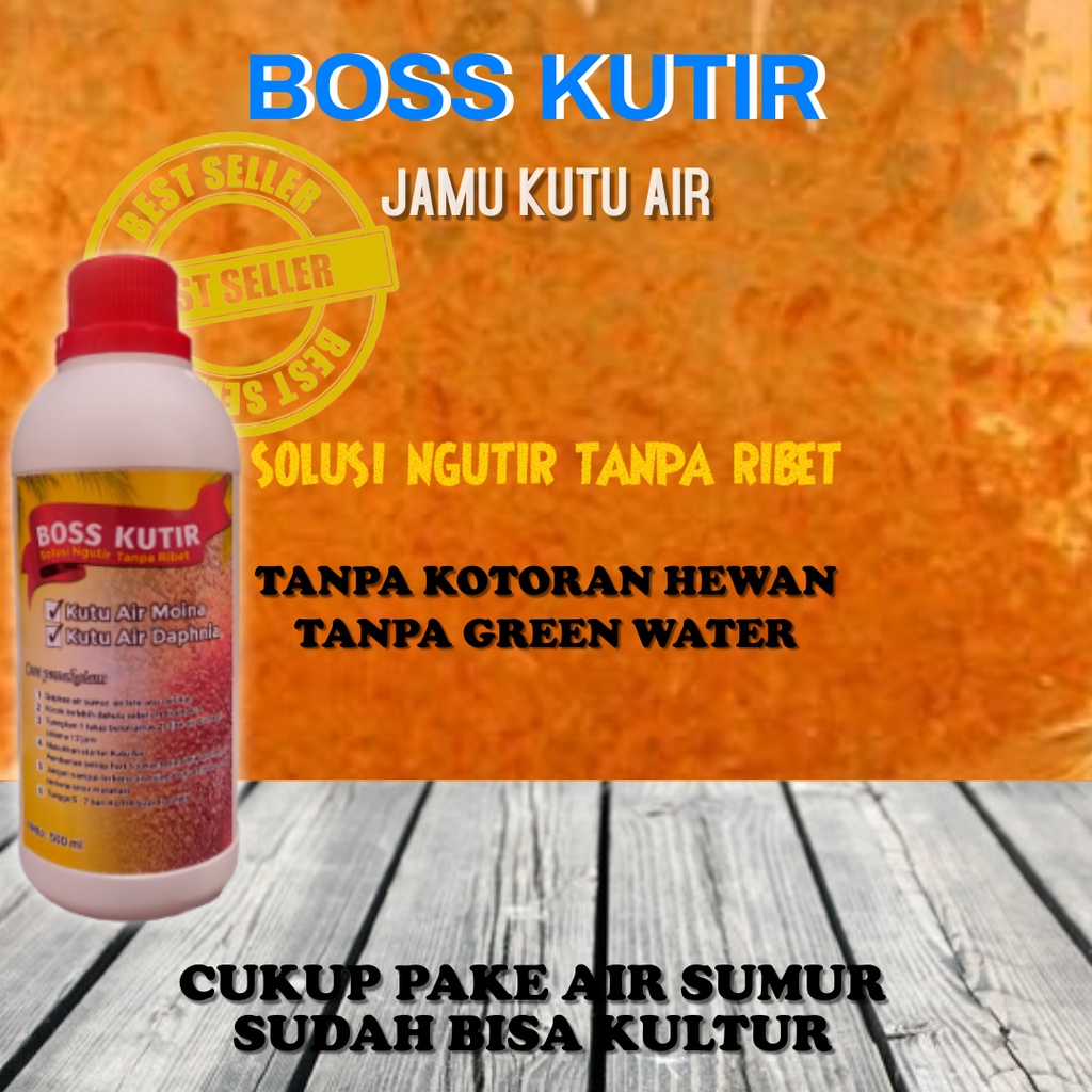 PAKAN KUTU AIR CUPANG JAMU KUTIR GREEN WATER CHORELLA DAN KOHE PUYUH BURAYAK IKAN HIAS CUPANG GUPPY