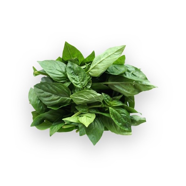 Daun Basil Organik 100gr