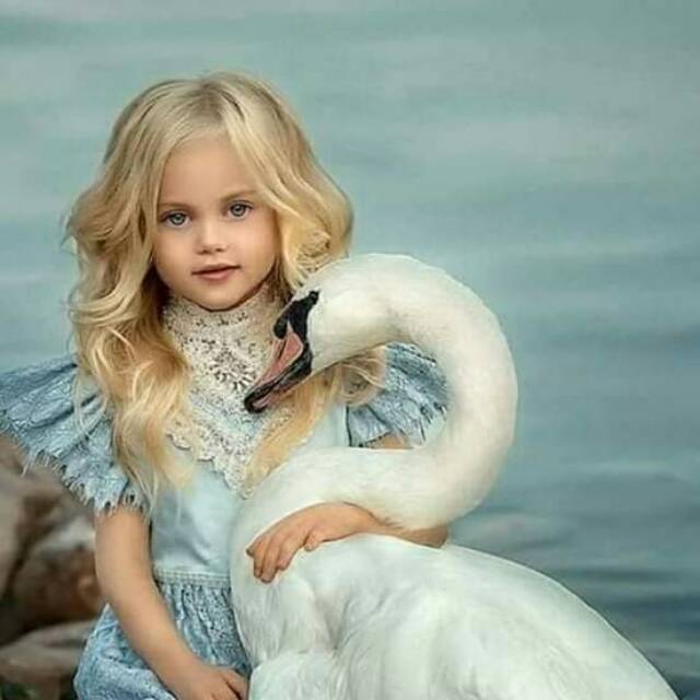 lawrenciafennysariowan