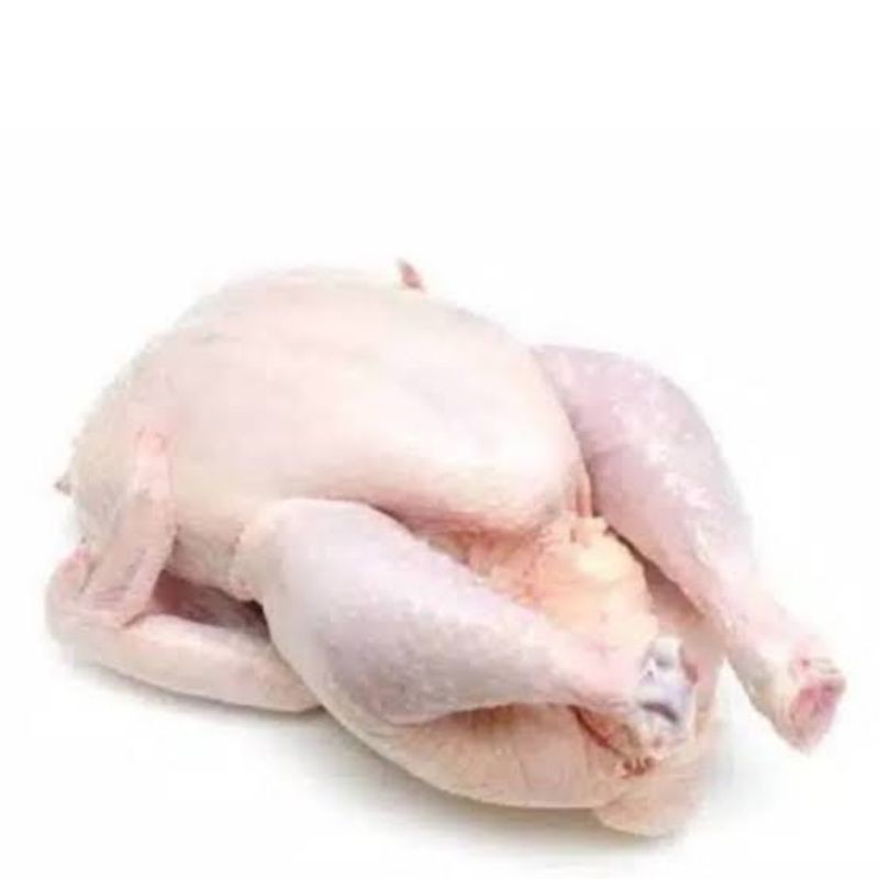 

AYAM BOILER PER EKOR / DAGING SEGAR