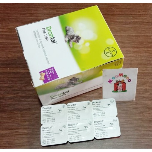 Drontal Plus Testy Dog - Obat Cacing untuk Anjing