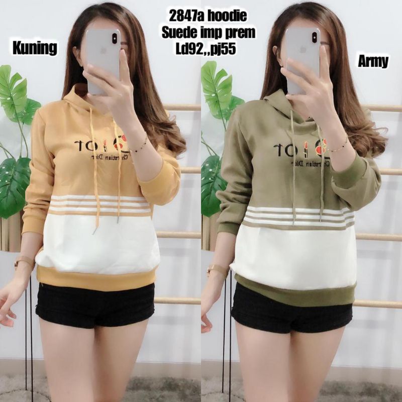 2847b Hoodie Suede imp Prem Dior