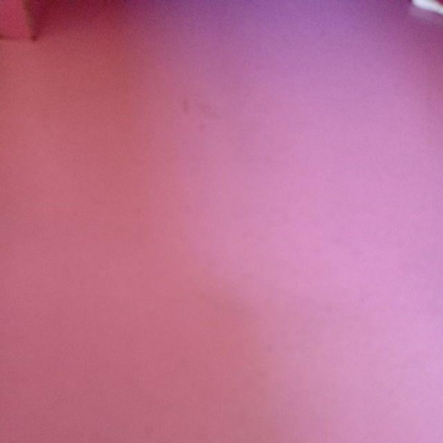 Loyang Pizza Ukuran 20 Cm - 6pcs