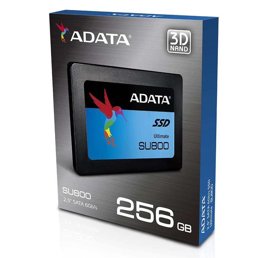 SSD ADATA SU800 256GB SATA III ( R/W Up to 560 / 520MB/s )