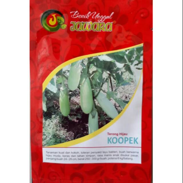 Benih Terong Hijau KOOPEK-Bibit Benih Terong Hijau Varietas KOOPEK