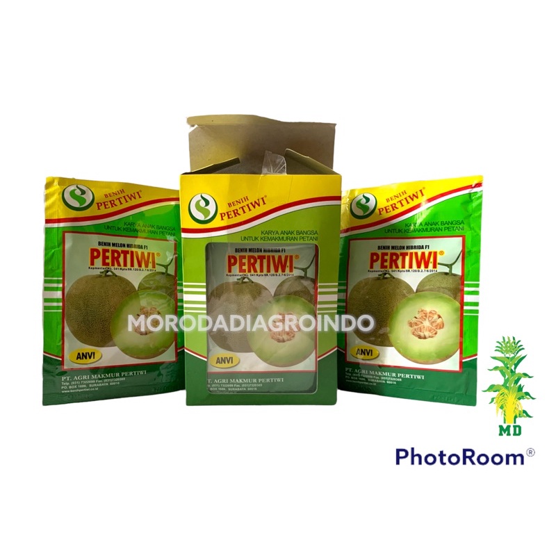 Benih/Bibit melon Pertiwi anvi F1 13 gram by pertiwi