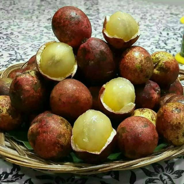 

Buah Matoa