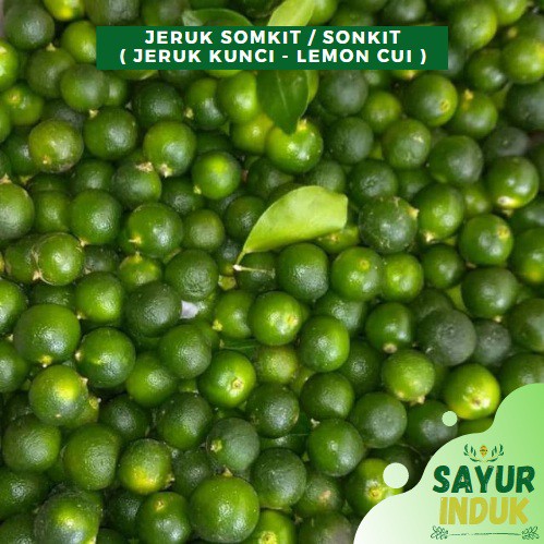 

Sayur Induk - Jeruk Sonkit 250 Gram Fresh Grade A Somkit Jeruk Kunci