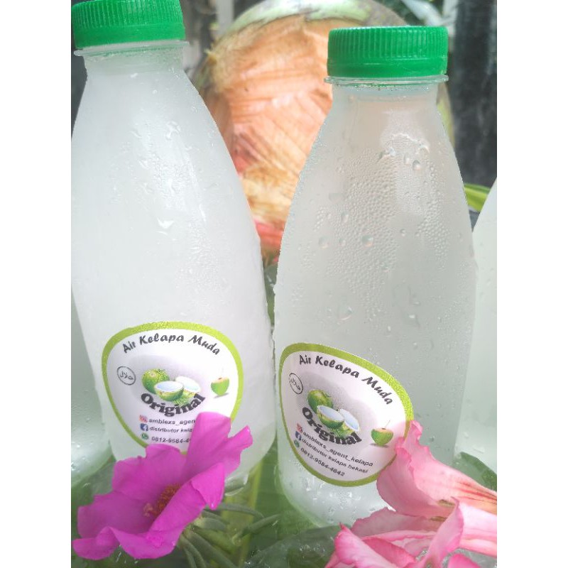 

Air Kelapa Muda Fress 350 ML