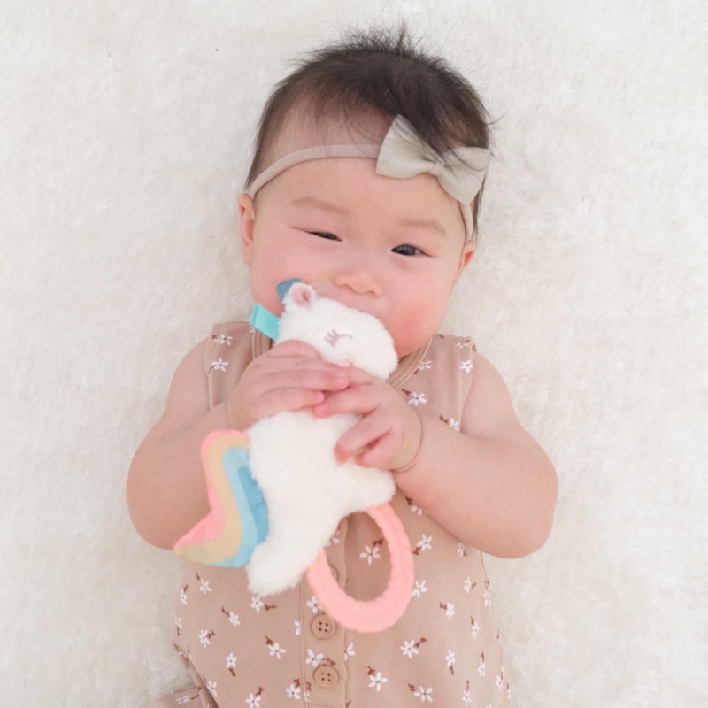 Itzy Ritzy - Teether Rattle Pal