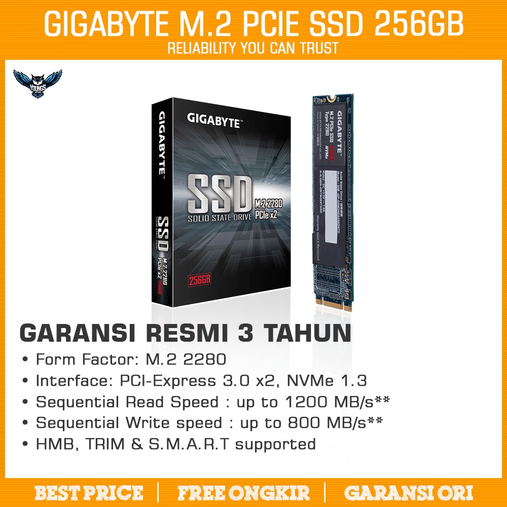 SSD GIGABYTE 256GB - NVMe M.2 Gen3x4 PCIe 2280 M2 256 GB