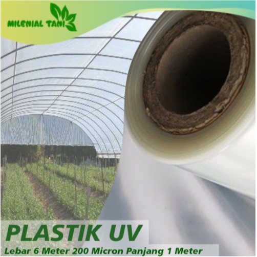 Plastik UV Lebar 6 Meter 200 Micron Panjang 1 Meter