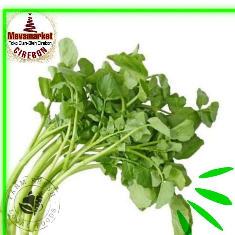 

Selada Air Conventional 250 gram (Mevsmarketcirebon)