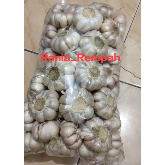 

[1KG] bawang putih garlic