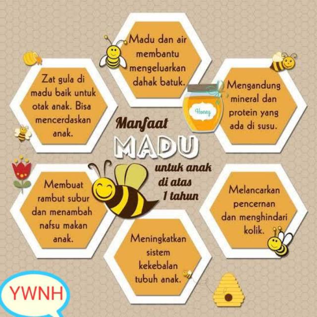 

Madu Murni Wasilah "Manis" & "Pahit" ,dan Sarang Madu