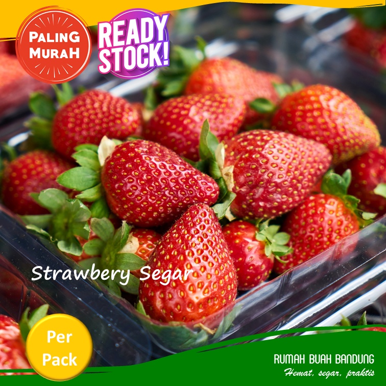 Stroberi Strawberry Segar 500 gram