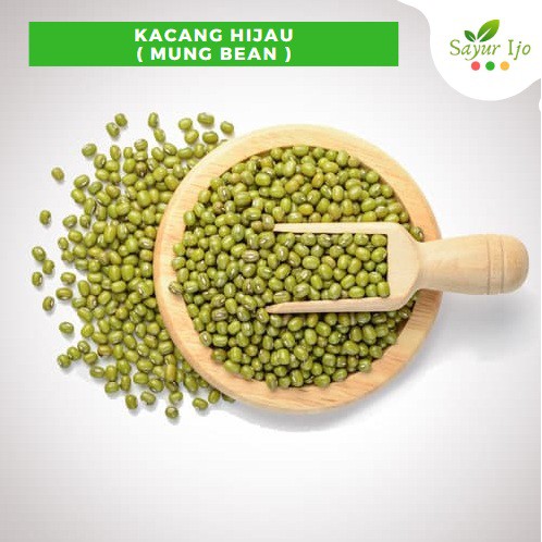

Kacang Hijau 500 Gram Fresh Grade A Mung Bean Biji Kacang Ijo Sayur Segar
