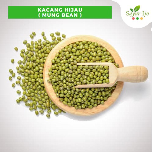 

Kacang Hijau 500 Gram Fresh Grade A Mung Bean Biji Kacang Ijo Sayur Segar