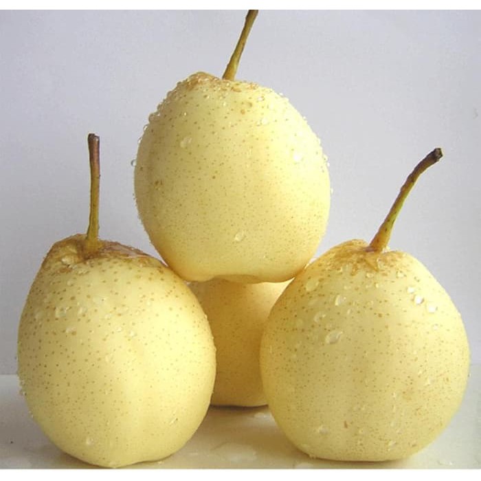 

Pir sweet / buah pear madu fresh