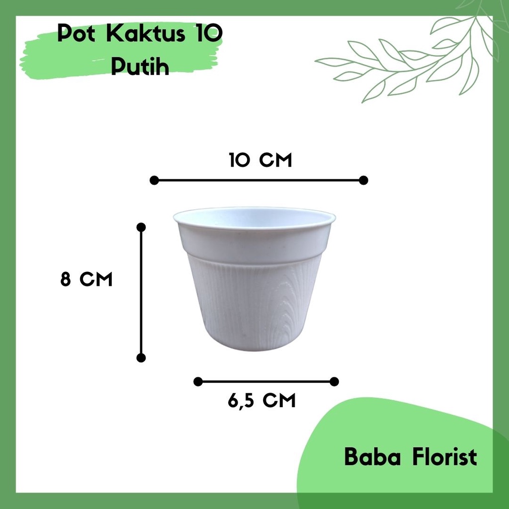 POT KAKTUS GOL 10 CM - POT KAKTUS 10 - POT ES KRIM 10 PUTIH - POT KAKTUS MINI - POT BIBIT PUTIH - PO