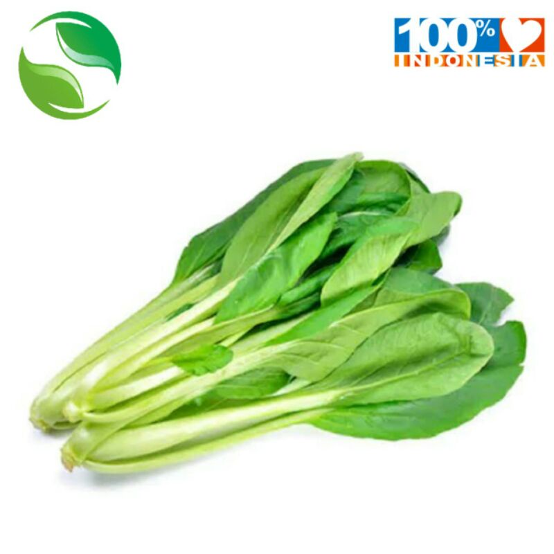 

Sayur cesim 1 ikat