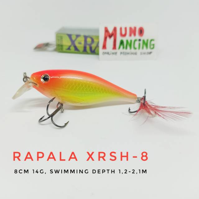 Minnow Rapala Xrap Shad Shallow XRSH-8 HH