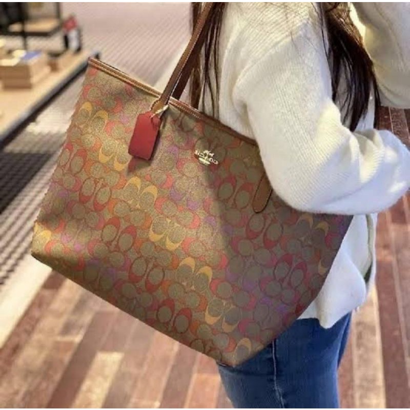 Coach City Tote In Rainbow Signature Canvas(C1316)