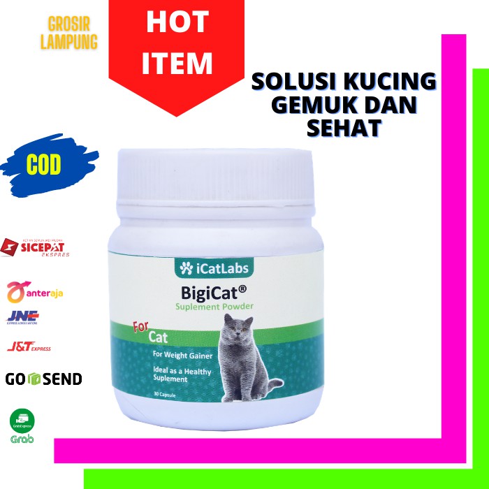 KUCING GEMUK VITAMIN KUCING BIGICAT CAT FOOD OBAT KUCING MAKANAN KUCING PENGGEMUK KUCING LAMPUNG